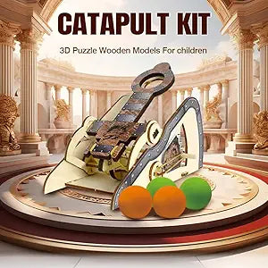 LIVEVIE Catapult Kit 3D Wooden Model Hands-On STEM Toy with Panels,