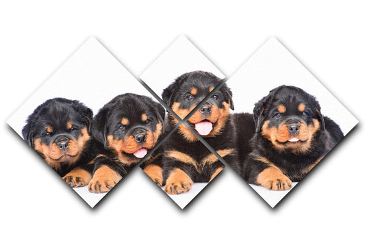 Group of puppies Rottweiler 4 Square Multi Panel Canvas