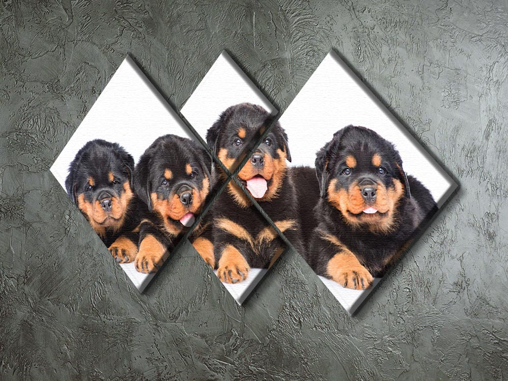 Group of puppies Rottweiler 4 Square Multi Panel Canvas