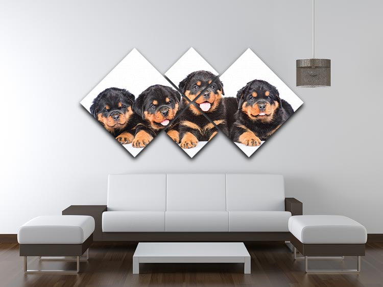 Group of puppies Rottweiler 4 Square Multi Panel Canvas