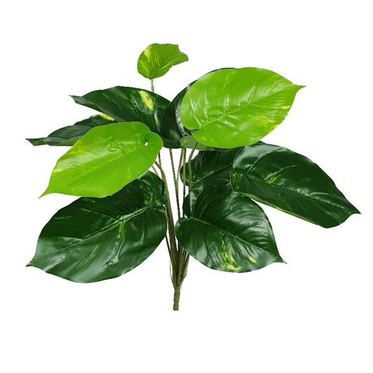 Lilly Pilly Stem - 32cm