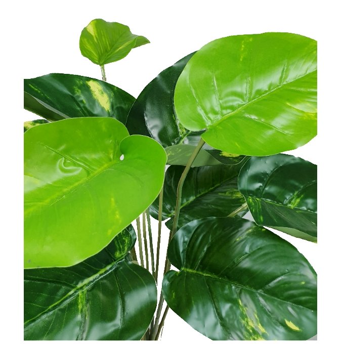 Lilly Pilly Stem - 32cm